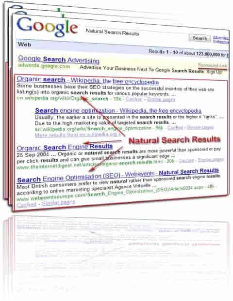 Organic Search Results